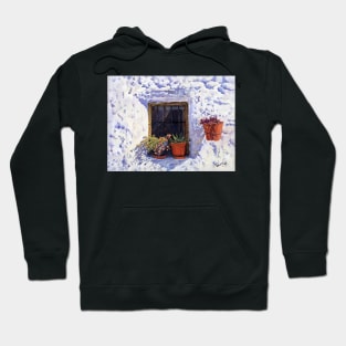 Old Window With Flower Pots Hoodie